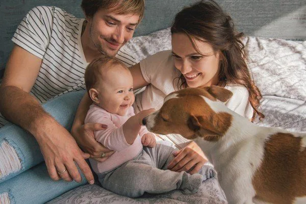 Can pets have a positive effect on a child’s health?
